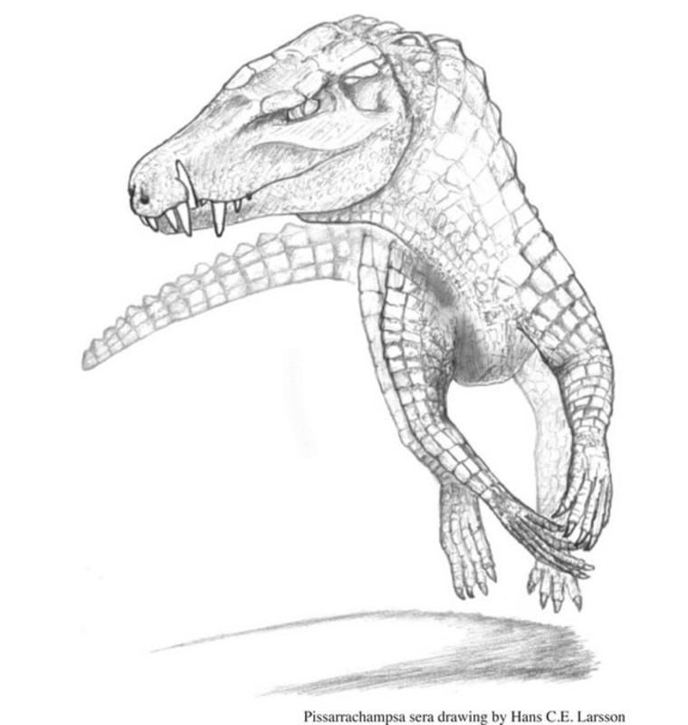 The crocodilian would've sported a doglike mug and long limbs used for galloping.